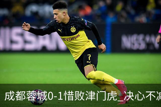 成都蓉城0-1惜败津门虎 决心不减继续追逐赛季目标